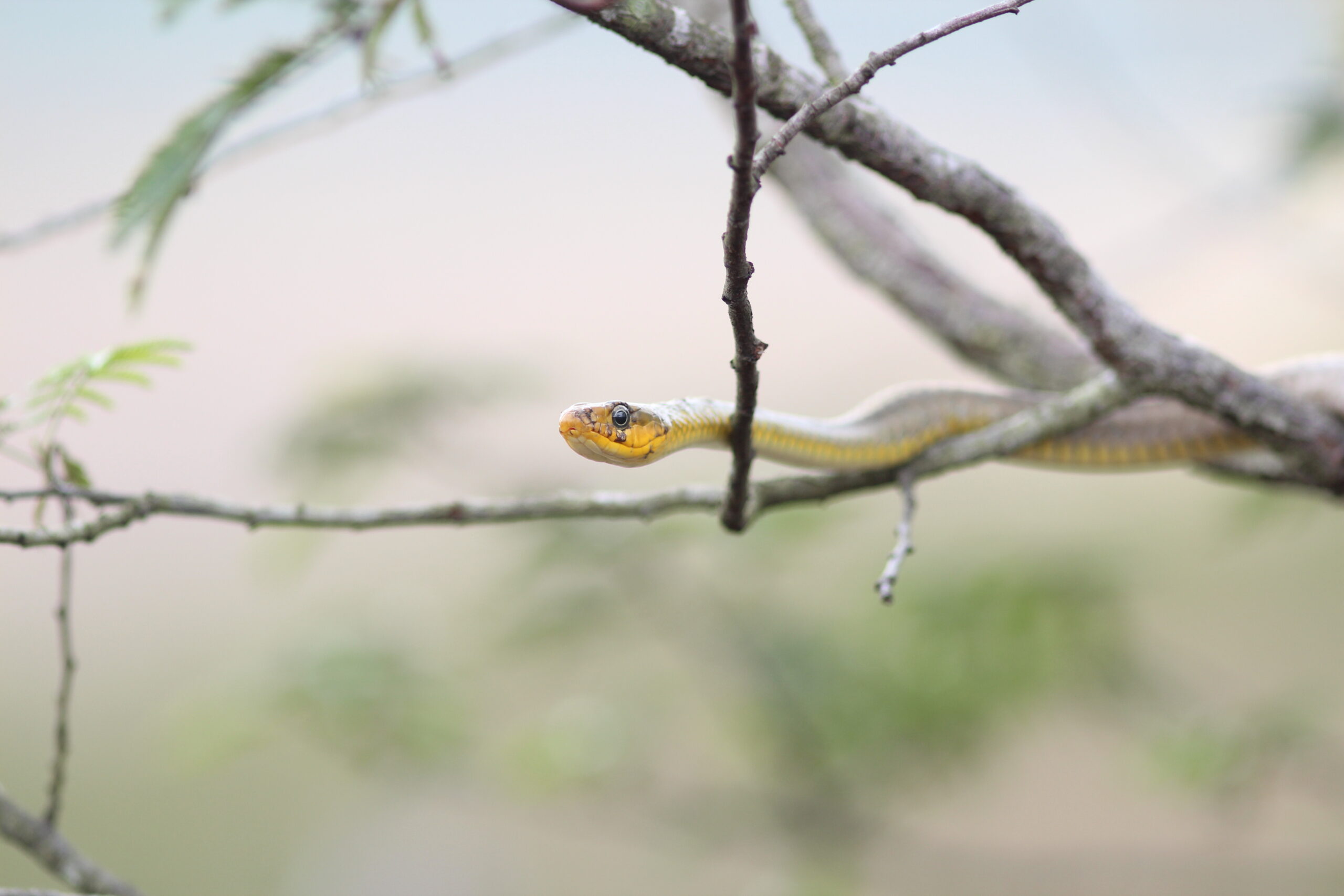 Superamos a marca de 55.000 pessoas beneficiadas por ações socioeducativas, presenciais, em 2025.